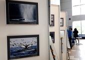 Жители Владивостока увидели уникальные фотографии китов