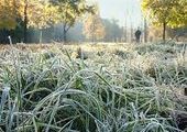 Власти Артема просят помощи в уборке урожая, пока не начались заморозки