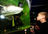 Во Владивостокском океанариуме девушку погрузили в аквариум к калугам