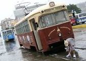 Жители Владивостока активно голосуют за сохранение трамвая
